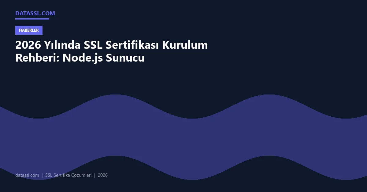 2026 Yılında SSL Sertifikası Kurulum Rehberi: Node.js Sunucu