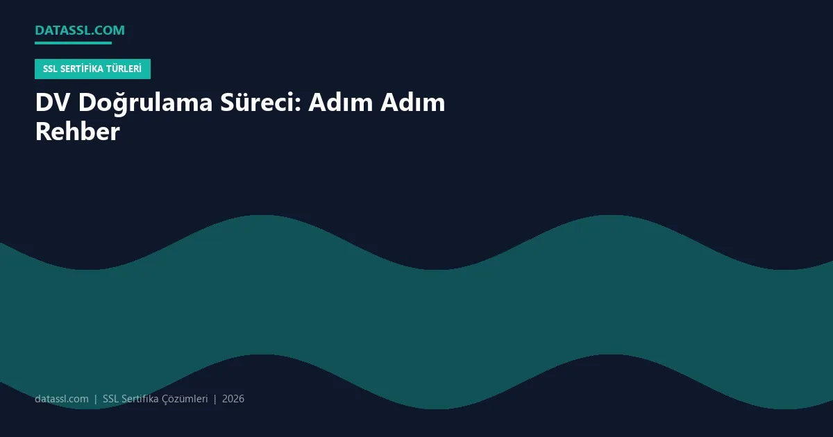 DV Doğrulama Süreci: Adım Adım Rehber