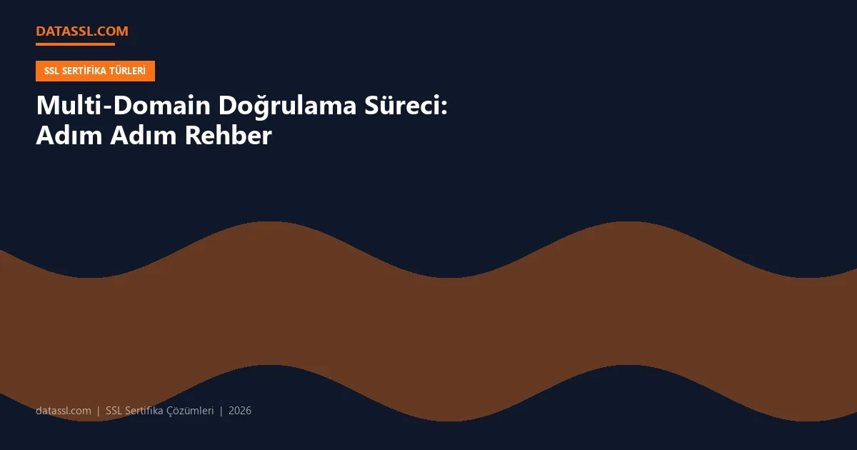Multi-Domain Doğrulama Süreci: Adım Adım Rehber