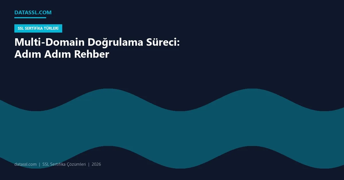 Multi-Domain Doğrulama Süreci: Adım Adım Rehber