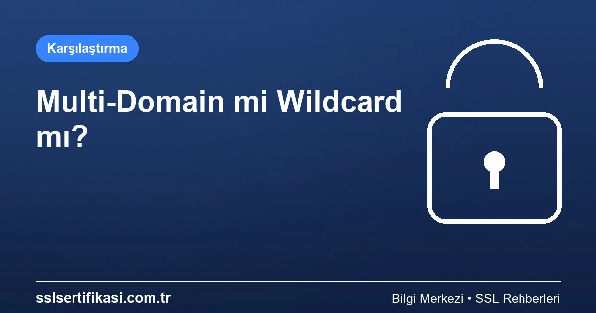 Multi-Domain SSL vs Wildcard SSL: Hangisi Daha İyi?