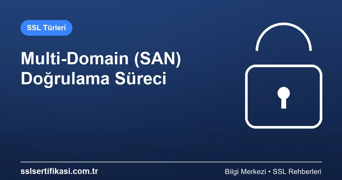 Multi-Domain Doğrulama Süreci: Adım Adım Rehber