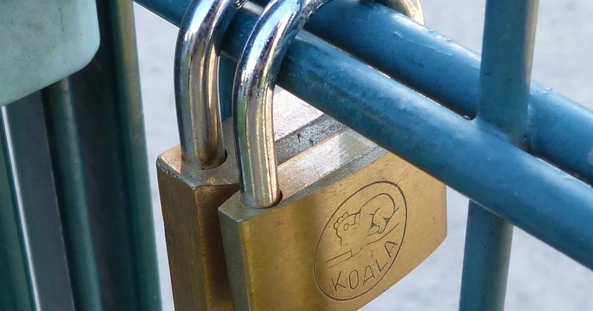 Otomatik SSL Sertifikası Yönetimi: Webhook Yöntemi