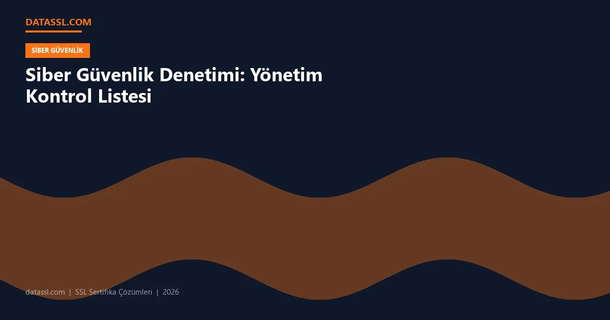 Siber Güvenlik Denetimi: Yönetim Kontrol Listesi